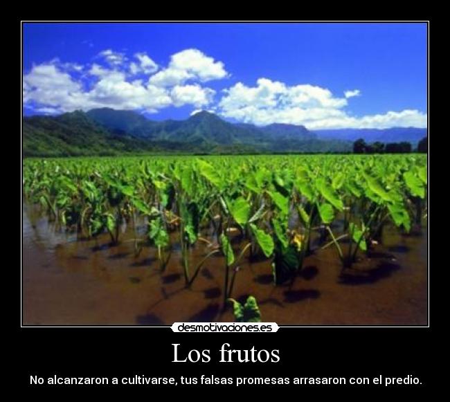 Los frutos -