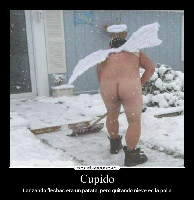 carteles nuevo cupido del amor desmotivaciones