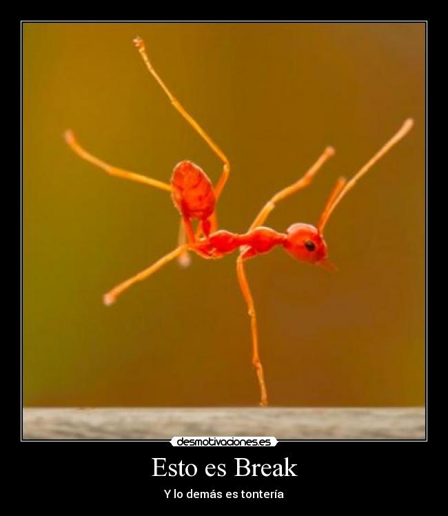 Esto es Break - 