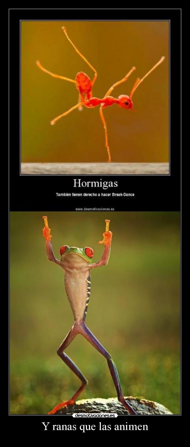 Y ranas que las animen -