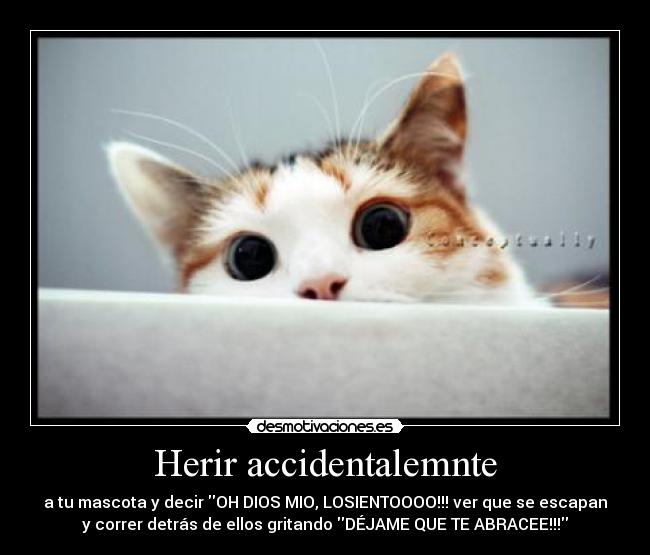 Herir accidentalemnte - a tu mascota y decir OH DIOS MIO, LOSIENTOOOO!!! ver que se escapan
y correr detrás de ellos gritando DÉJAME QUE TE ABRACEE!!!