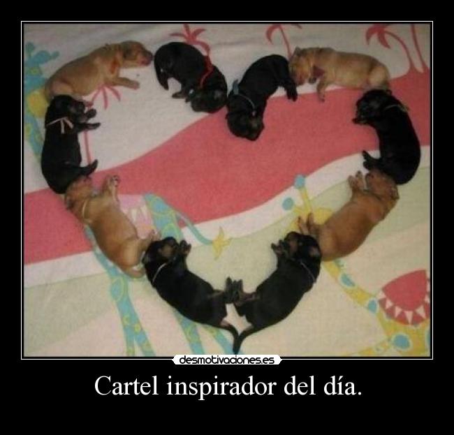 Cartel inspirador del día. - 