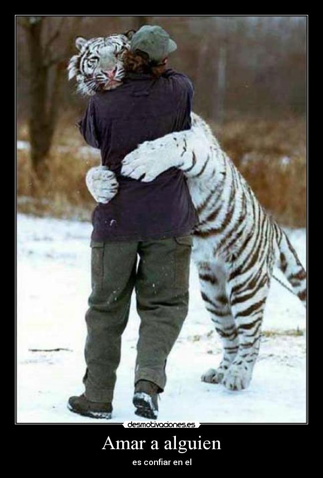 Amar a alguien -