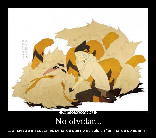 No olvidar... - 