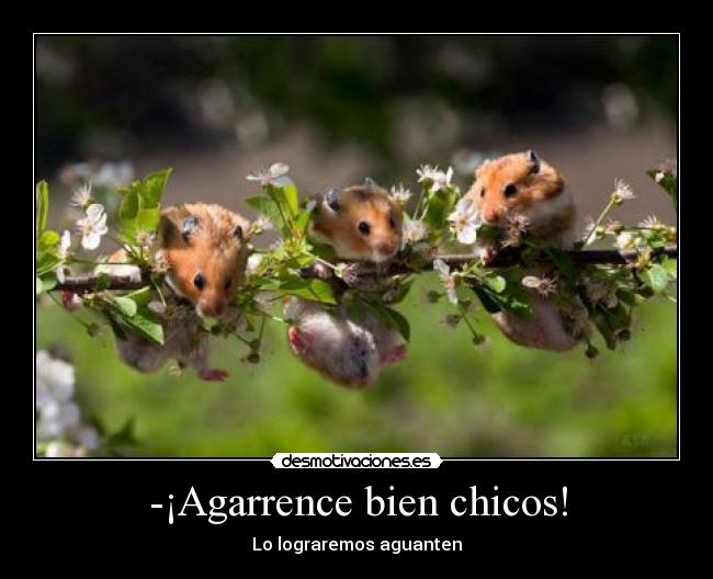 -¡Agarrence bien chicos! - Lo lograremos aguanten