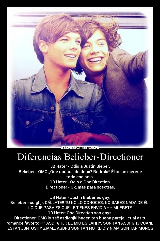 Diferencias Belieber-Directioner - 