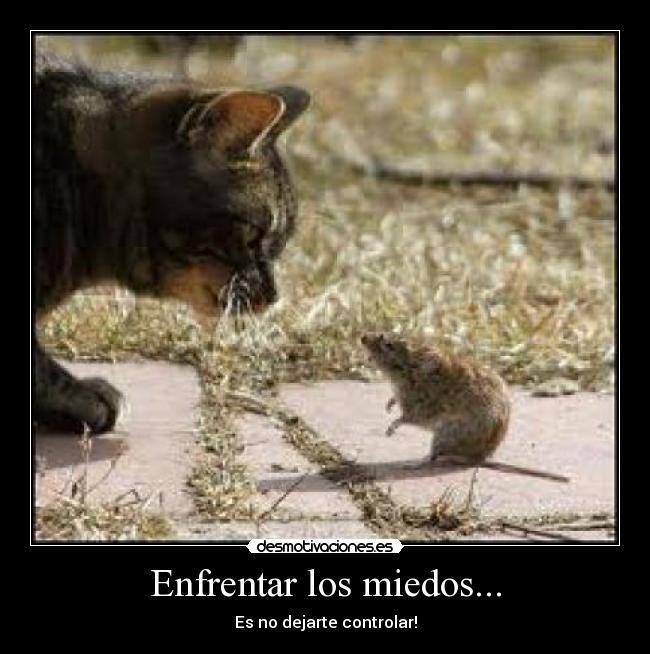 Enfrentar los miedos... - Es no dejarte controlar!