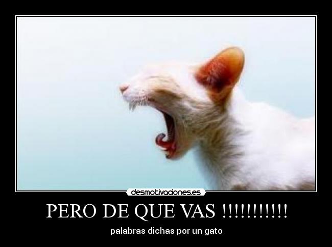 PERO DE QUE VAS !!!!!!!!!!! -