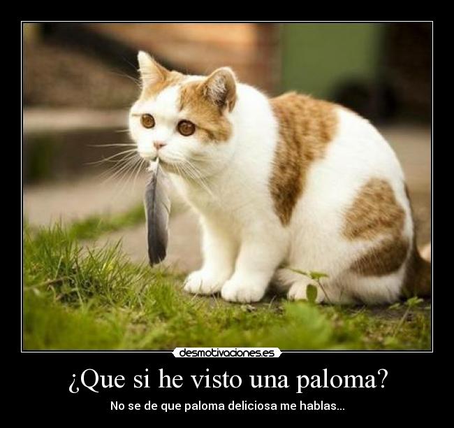 carteles javi96 intruders crazyclub cienxcien desmotivaciones