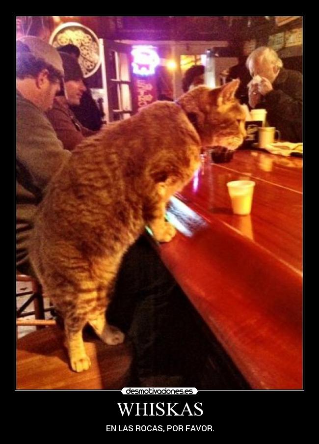 WHISKAS -