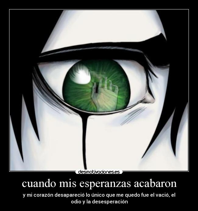 cuando mis esperanzas acabaron - y mi corazón desapareció lo único que me quedo fue el vació, el
odio y la desesperación