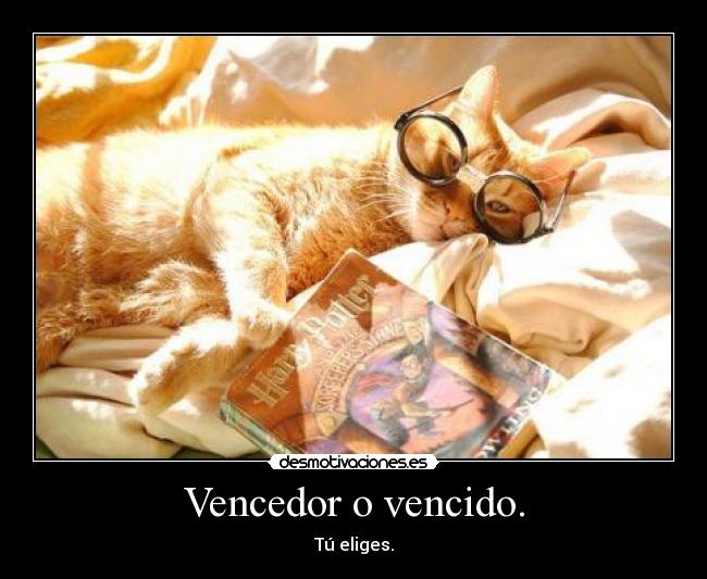 Vencedor o vencido. -