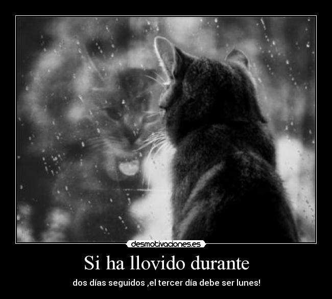 Si ha llovido durante -