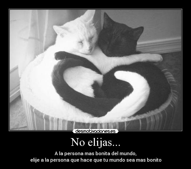 No elijas... -