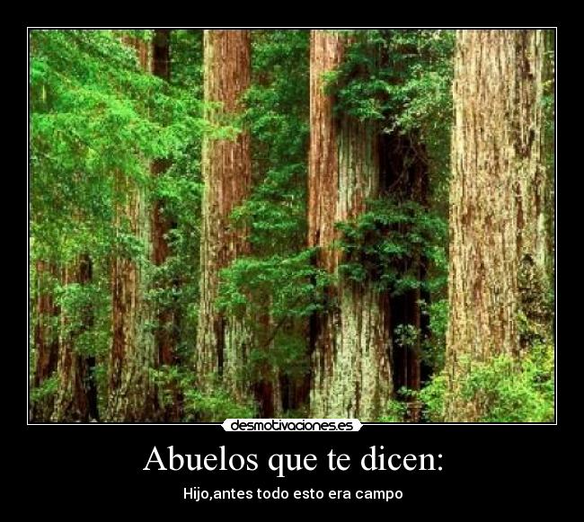 Abuelos que te dicen: - Hijo,antes todo esto era campo