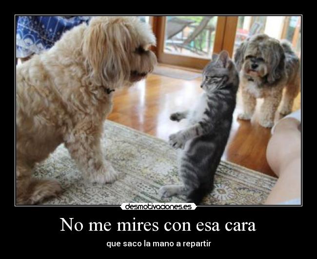 No me mires con esa cara - 