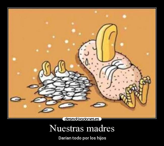 Nuestras madres -