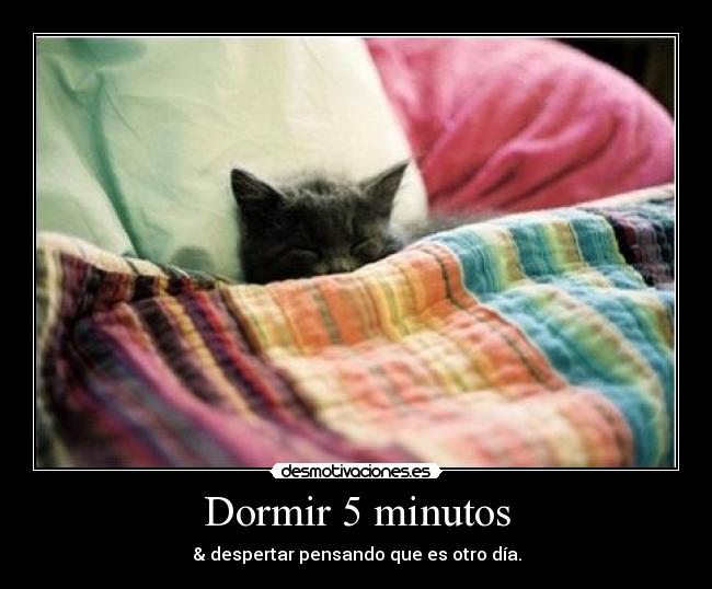 Dormir 5 minutos - & despertar pensando que es otro día.