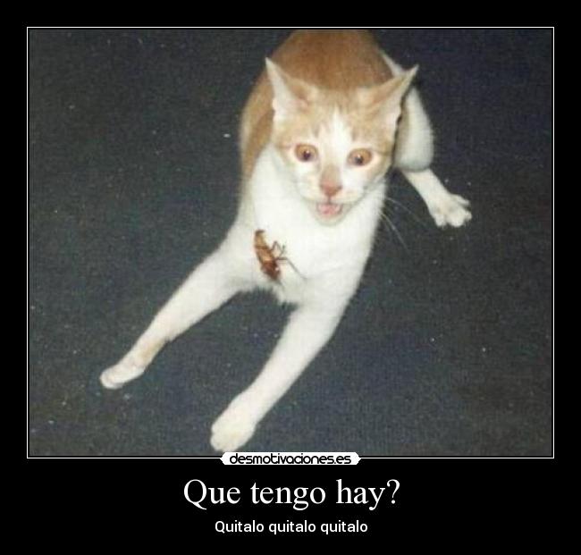 Que tengo hay? - Quitalo quitalo quitalo
