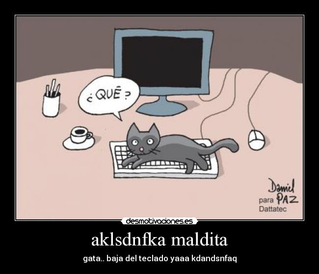 aklsdnfka maldita -