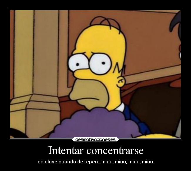 Intentar concentrarse - en clase cuando de repen...miau, miau, miau, miau.