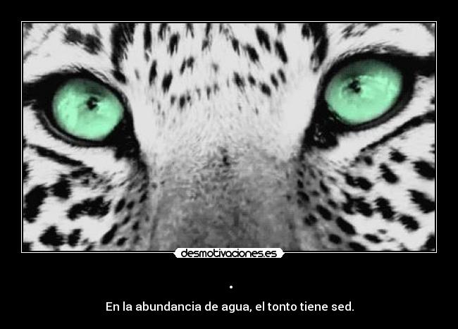 . - En la abundancia de agua, el tonto tiene sed.