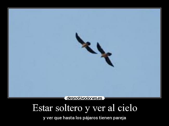 Estar soltero y ver al cielo -