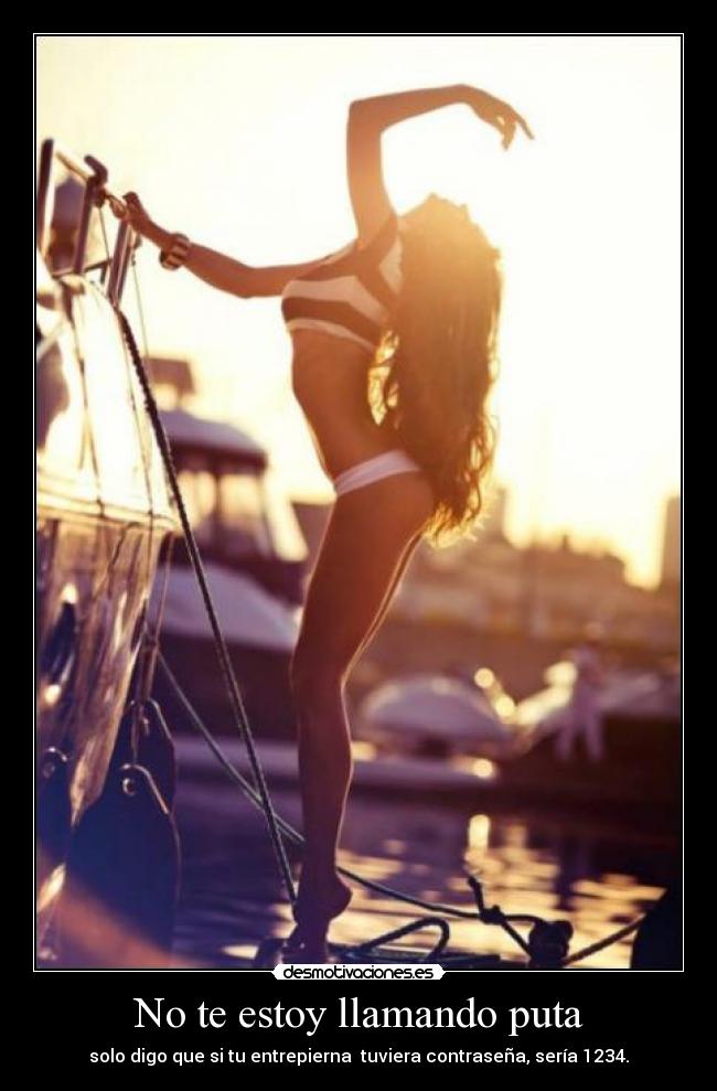 No te estoy llamando puta - solo digo que si tu entrepierna  tuviera contraseña, sería 1234.