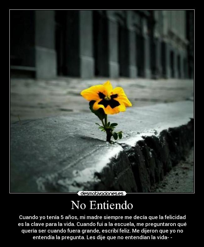 No Entiendo -