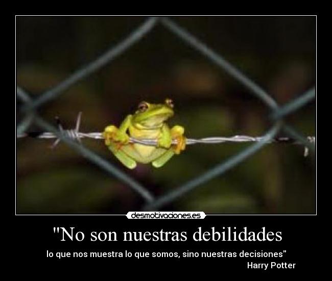 No son nuestras debilidades - lo que nos muestra lo que somos, sino nuestras decisiones
                                                                                                       Harry Potter