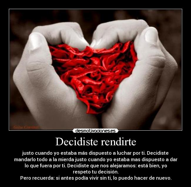 carteles siento confundi con amor vida igual gracias por todo desmotivaciones