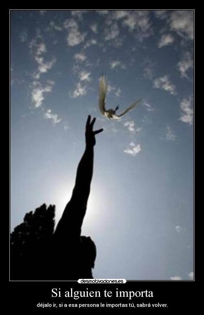Si alguien te importa - 