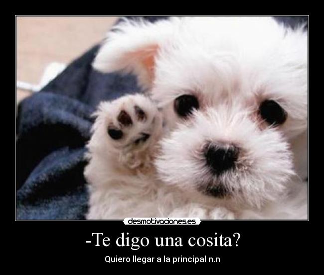 -Te digo una cosita? - Quiero llegar a la principal n.n