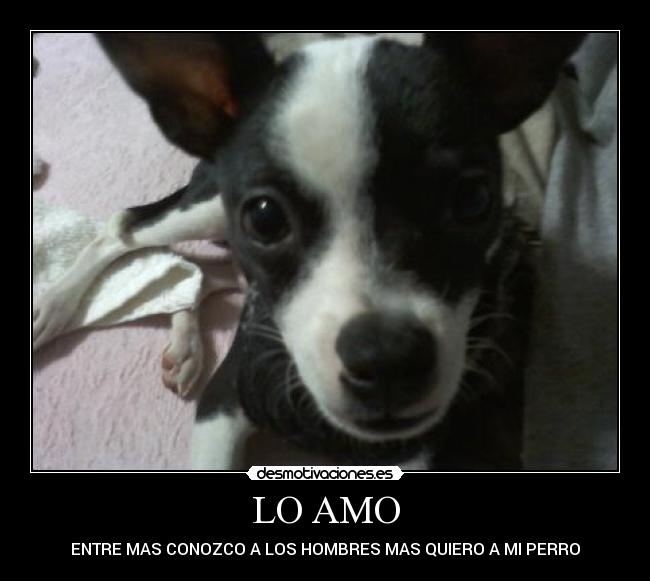 LO AMO - ENTRE MAS CONOZCO A LOS HOMBRES MAS QUIERO A MI PERRO
