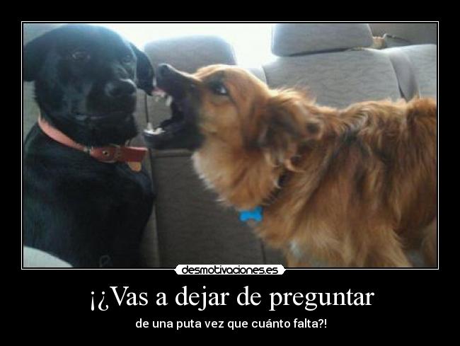 ¡¿Vas a dejar de preguntar -