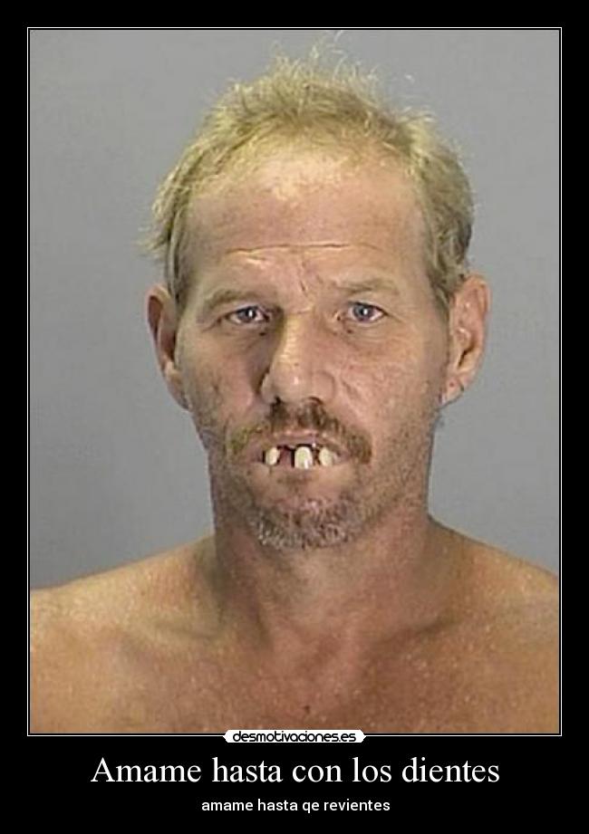 carteles amame timbiriche desmotivaciones