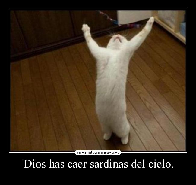 Dios has caer sardinas del cielo. -