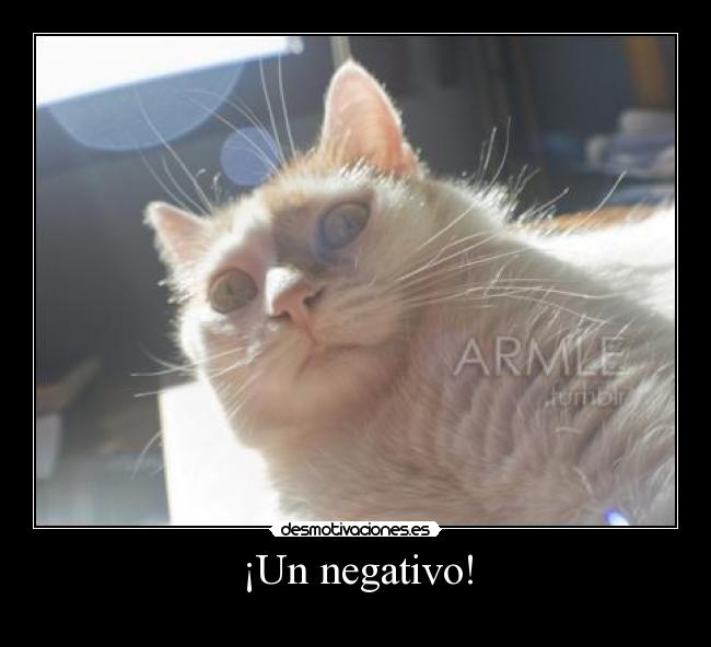 ¡Un negativo! - 