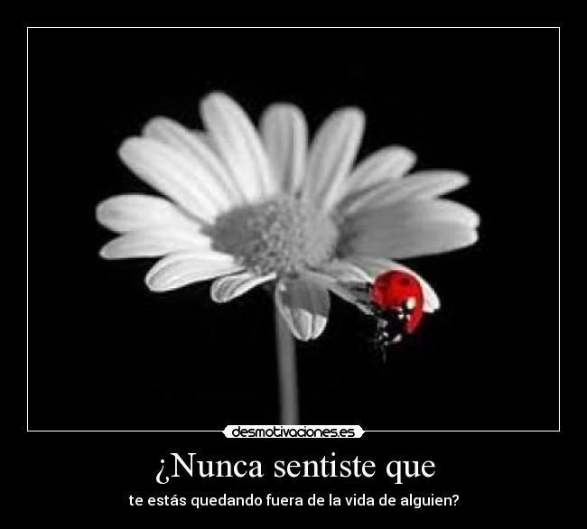 ¿Nunca sentiste que - te estás quedando fuera de la vida de alguien?