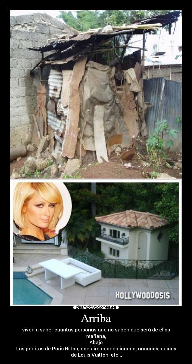 Arriba - viven a saber cuantas personas que no saben que será de ellos
mañana,
Abajo
Los perritos de Paris Hilton, con aire acondicionado, armarios, camas
de Louis Vuitton, etc...
