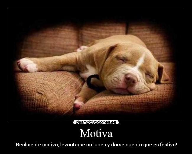 Motiva - Realmente motiva, levantarse un lunes y darse cuenta que es festivo!