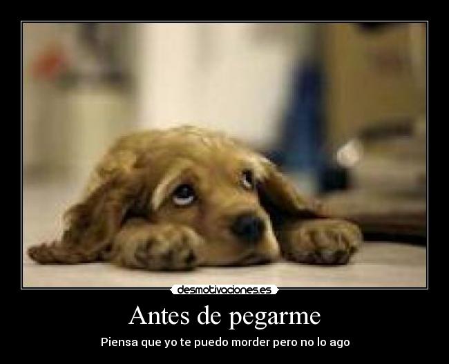 Antes de pegarme - Piensa que yo te puedo morder pero no lo ago