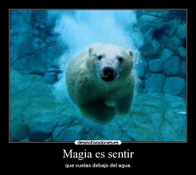 carteles magia sentir que desmotivaciones