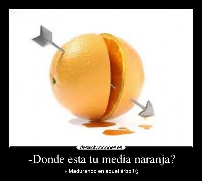 carteles media naranja desmotivaciones