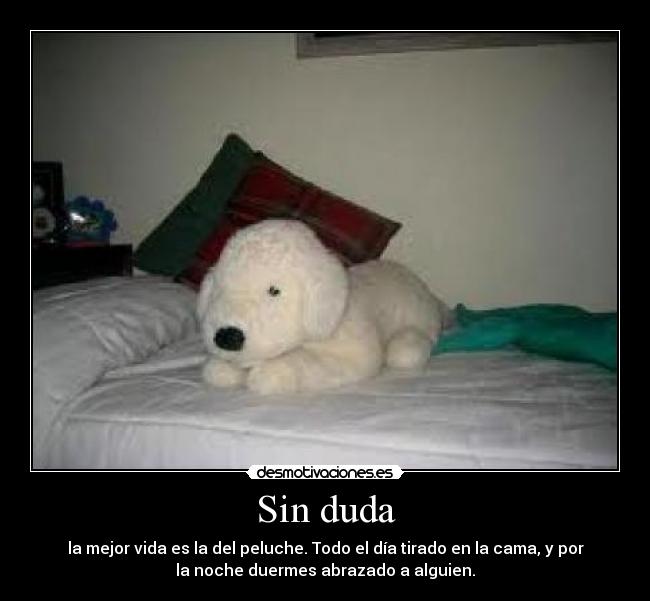 Sin duda - la mejor vida es la del peluche. Todo el día tirado en la cama, y por
la noche duermes abrazado a alguien.