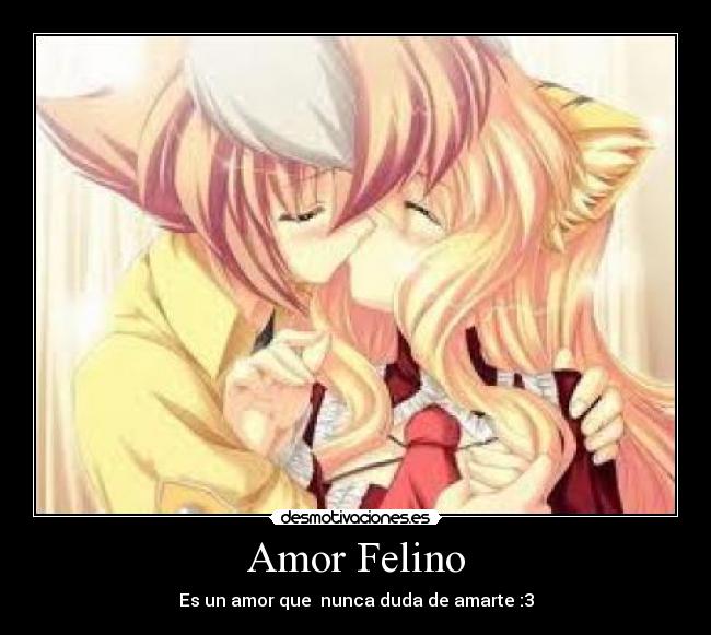Amor Felino - Es un amor que nunca duda de amarte :3
