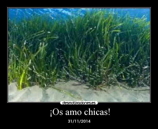 ¡Os amo chicas! - 
