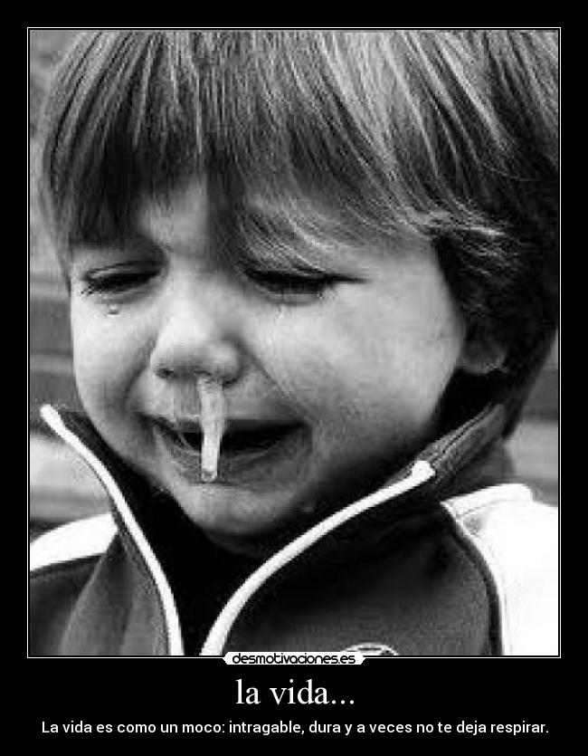 la vida... - La vida es como un moco: intragable, dura y a veces no te deja respirar.