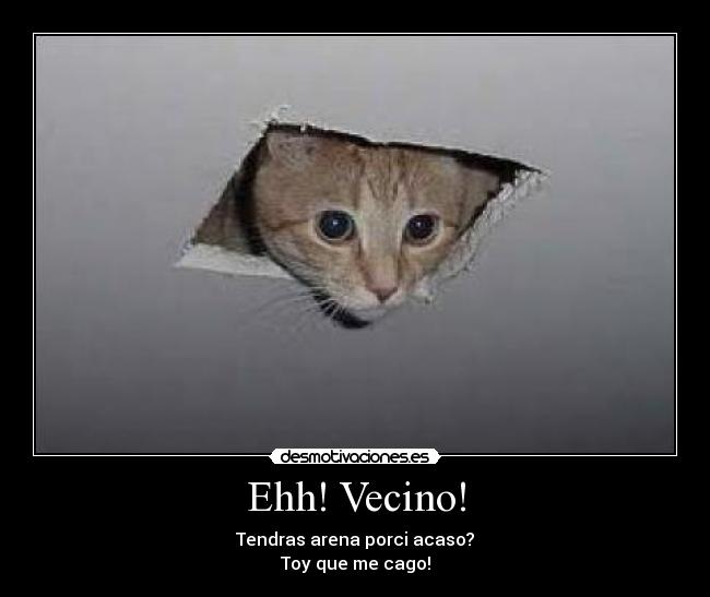 Ehh! Vecino! - Tendras arena porci acaso?
Toy que me cago!