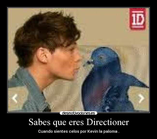 carteles onedirection desmotivaciones